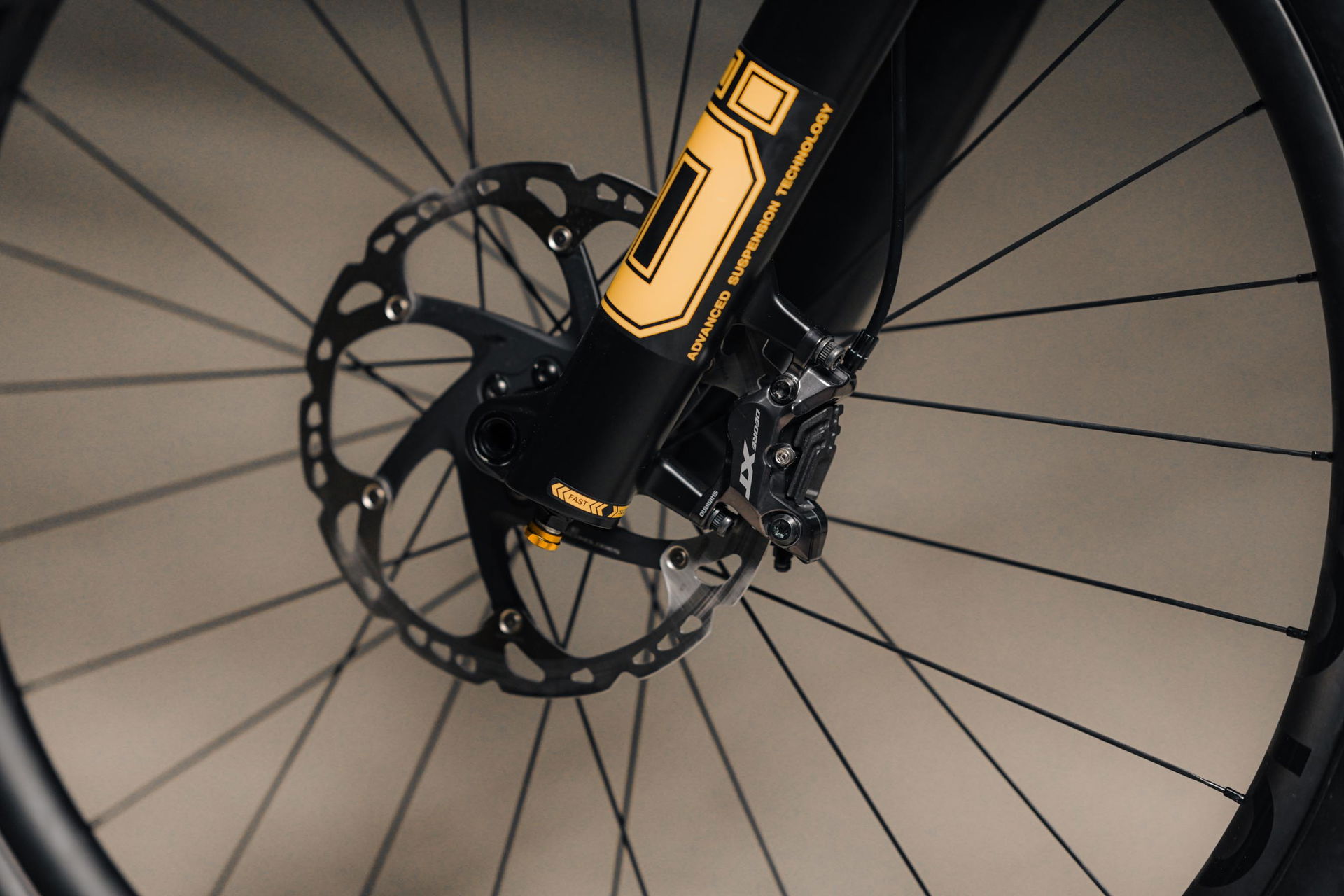 raaw-madonna-acros-dreambuild-2023-web-25