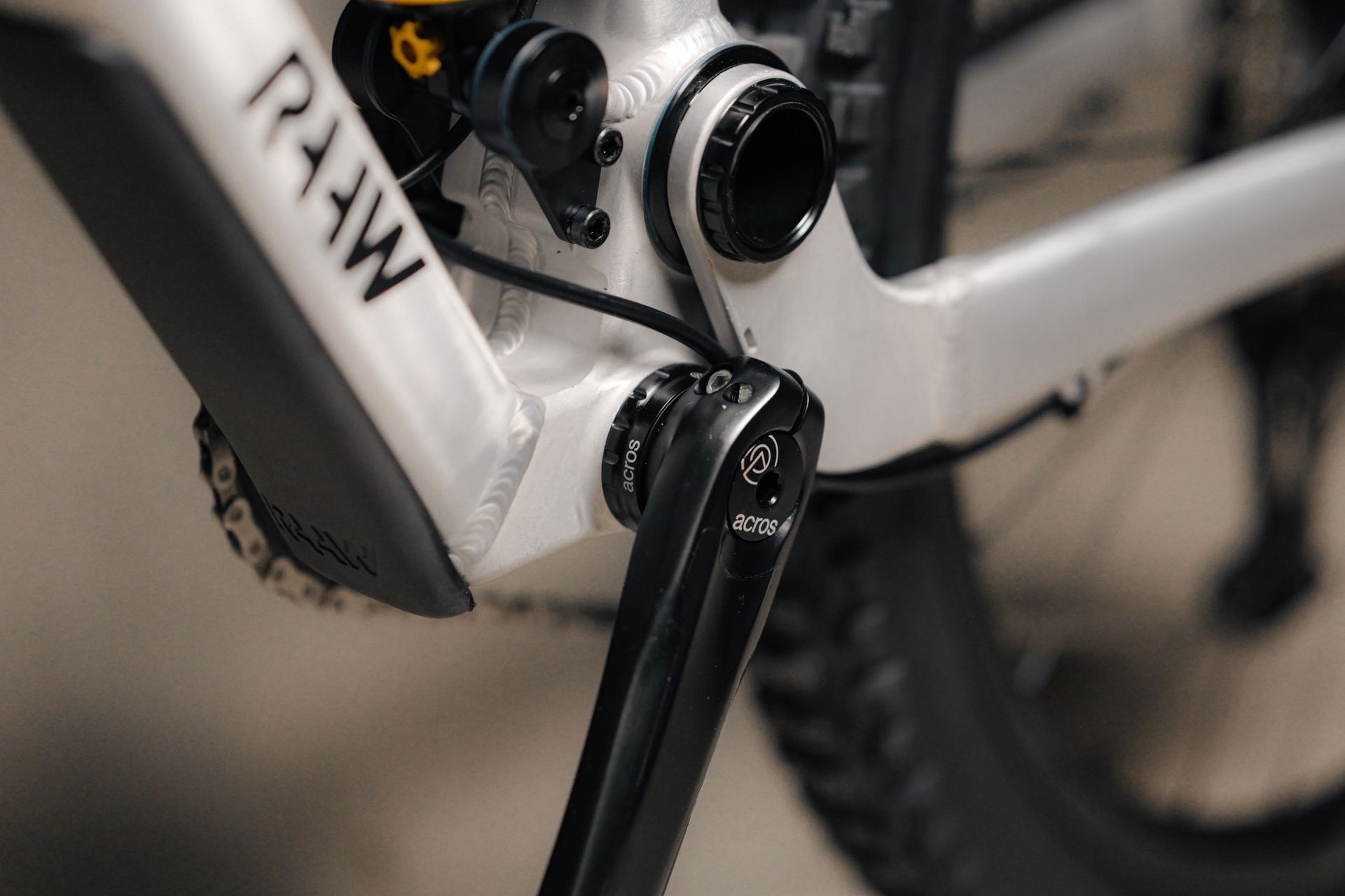 raaw-madonna-acros-dreambuild-2023-web-26