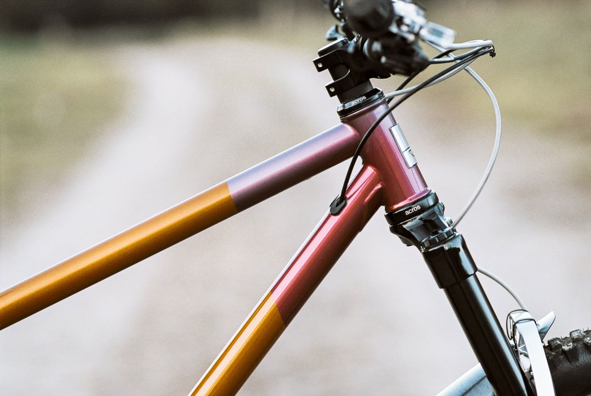 Sour-Crumble-acros-bikeportrait-2023_web-25