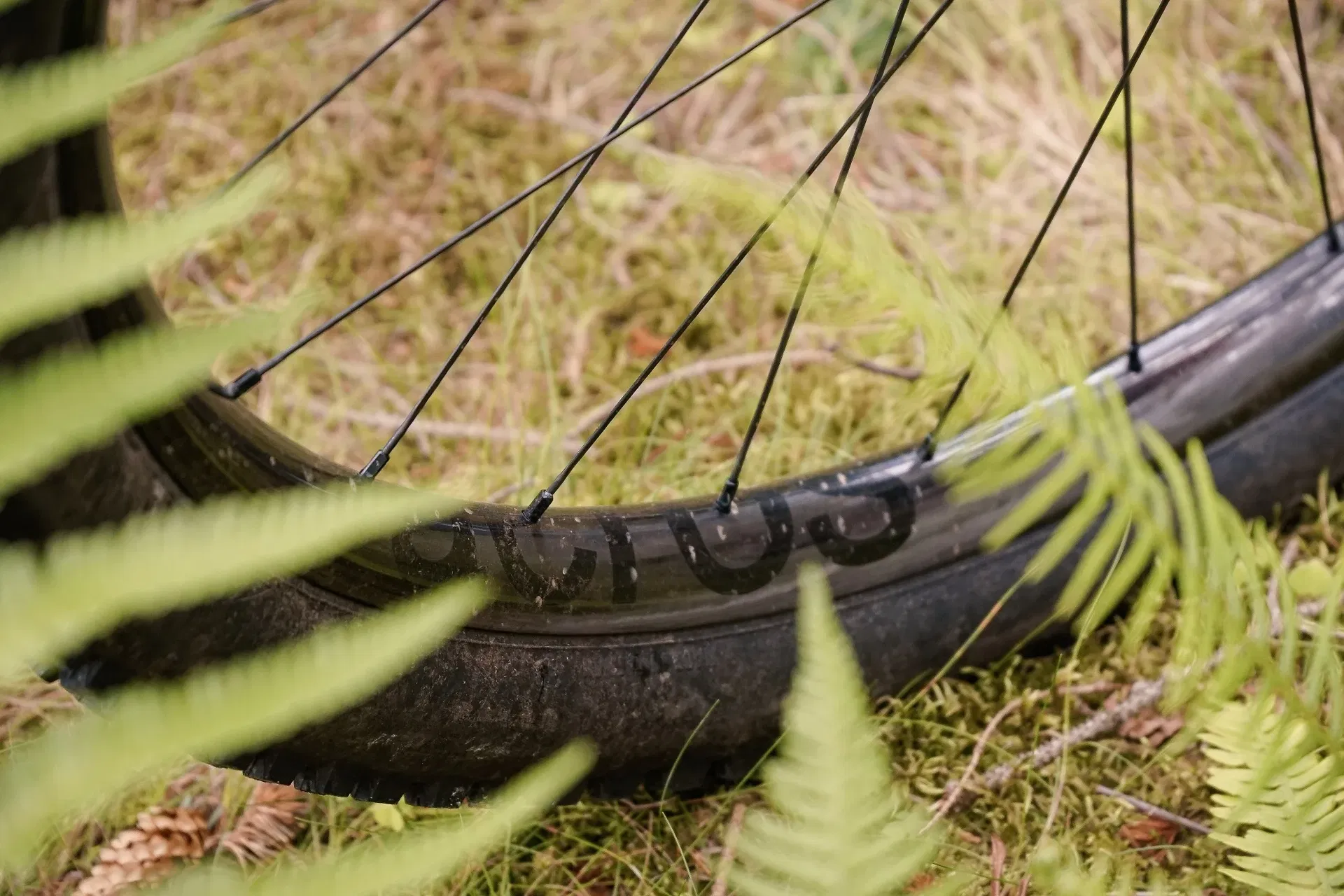 acros_AMBASSADOR_2020-07_James-Shirley_Rose-Thrill-Hill_12