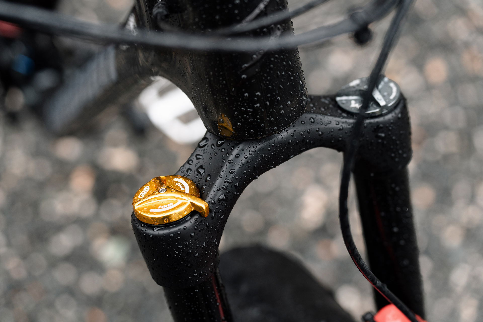 acros_dreambuild_laurins_propain_tyee-037