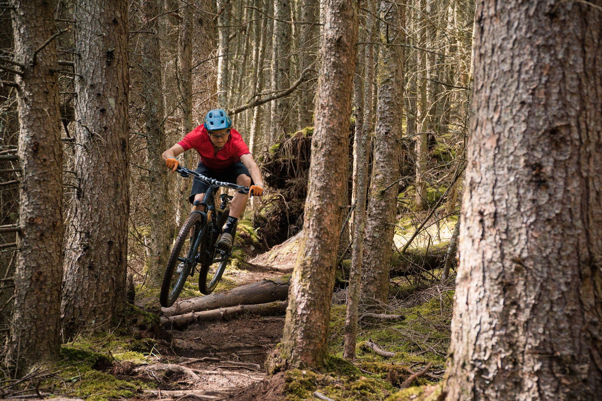 acros_AMBASSADOR_2020-07_James-Shirley_Rose-Thrill-Hill_20