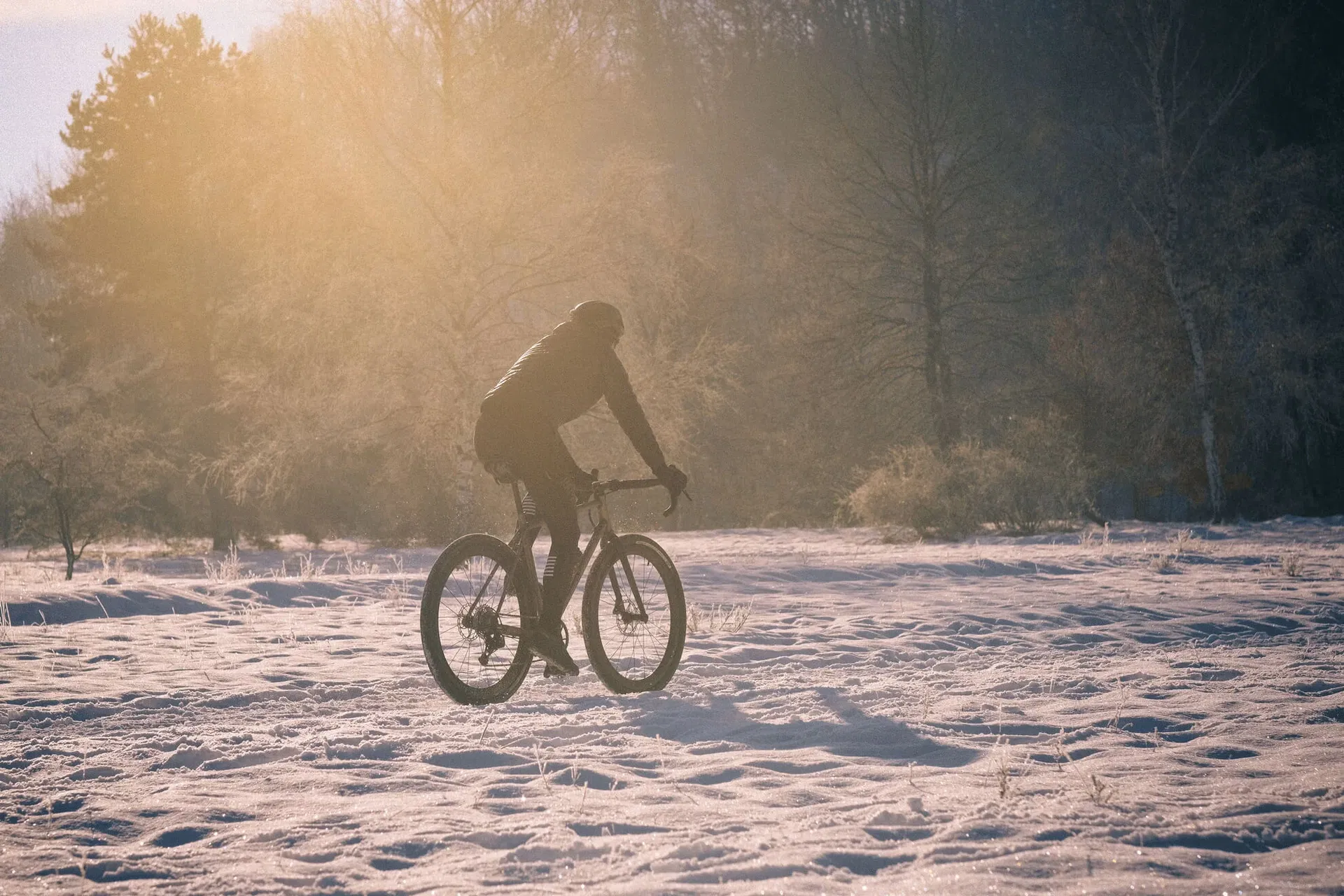 acros_Journal_Bike-Check_Sour-Bikes-Purple-Haze_Gravel-Bike-16