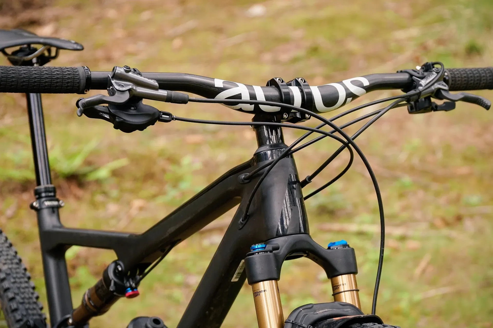 acros_AMBASSADOR_2020-07_James-Shirley_Rose-Thrill-Hill_04