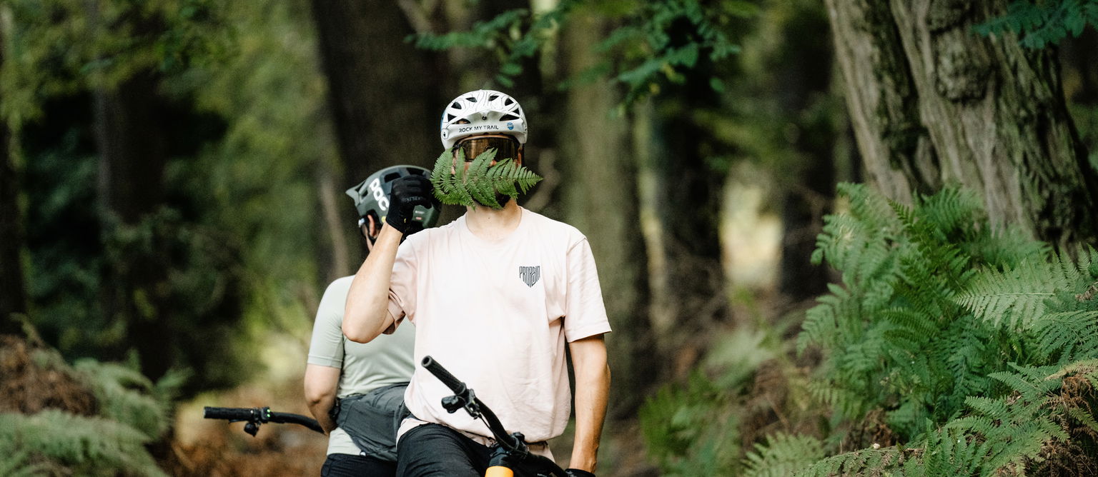 SW6-Explore-Kategorie-1