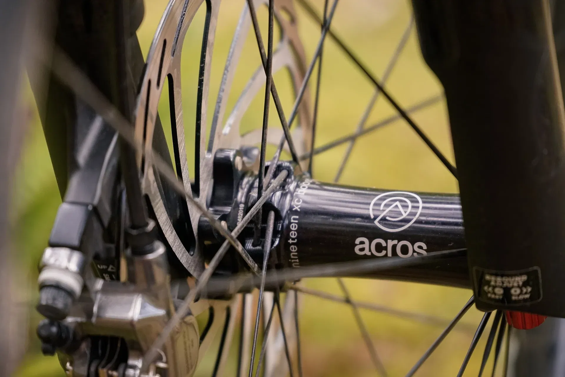 acros_AMBASSADOR_2020-07_James-Shirley_Rose-Thrill-Hill_06