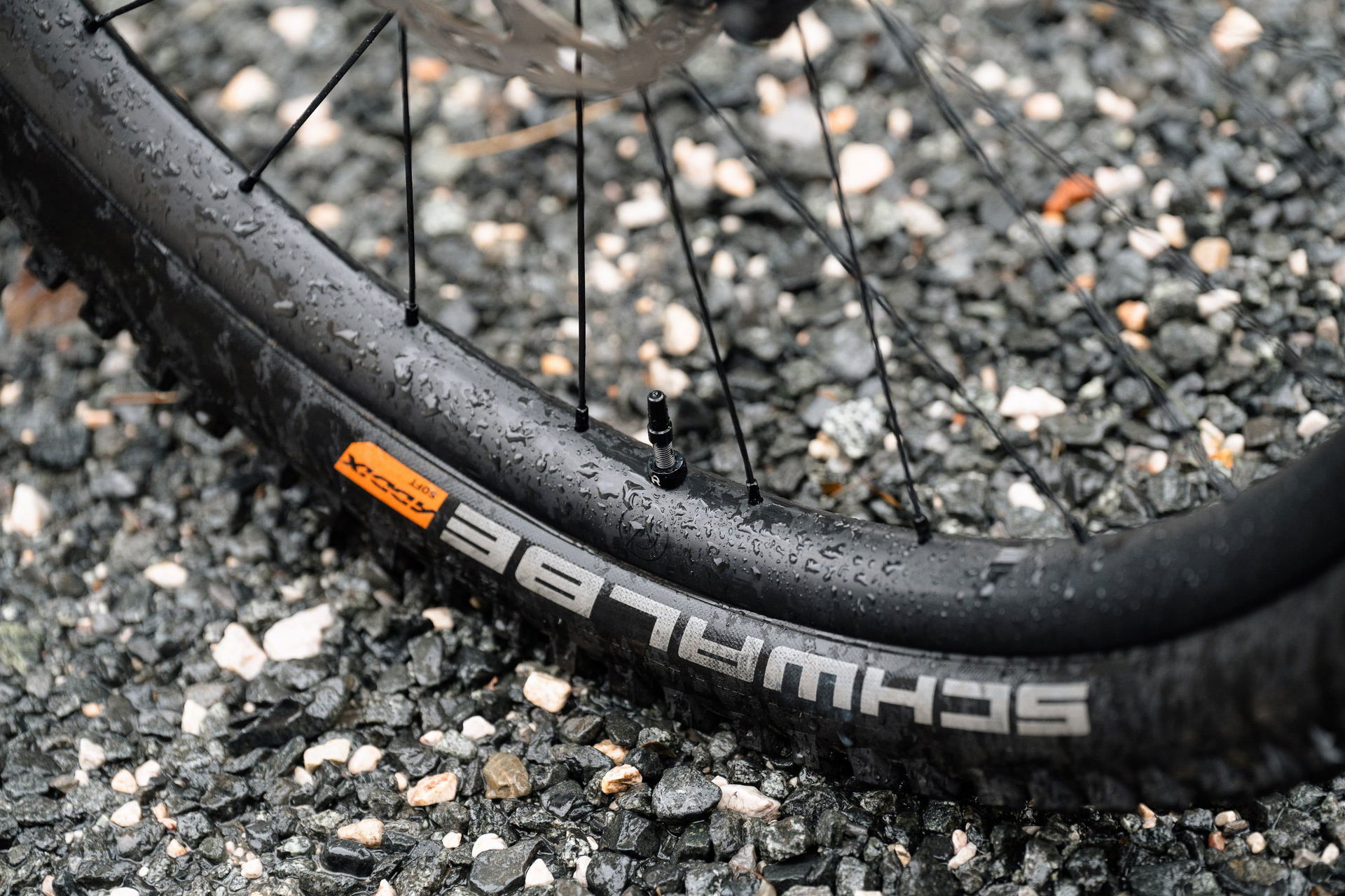 acros_dreambuild_laurins_propain_tyee-049