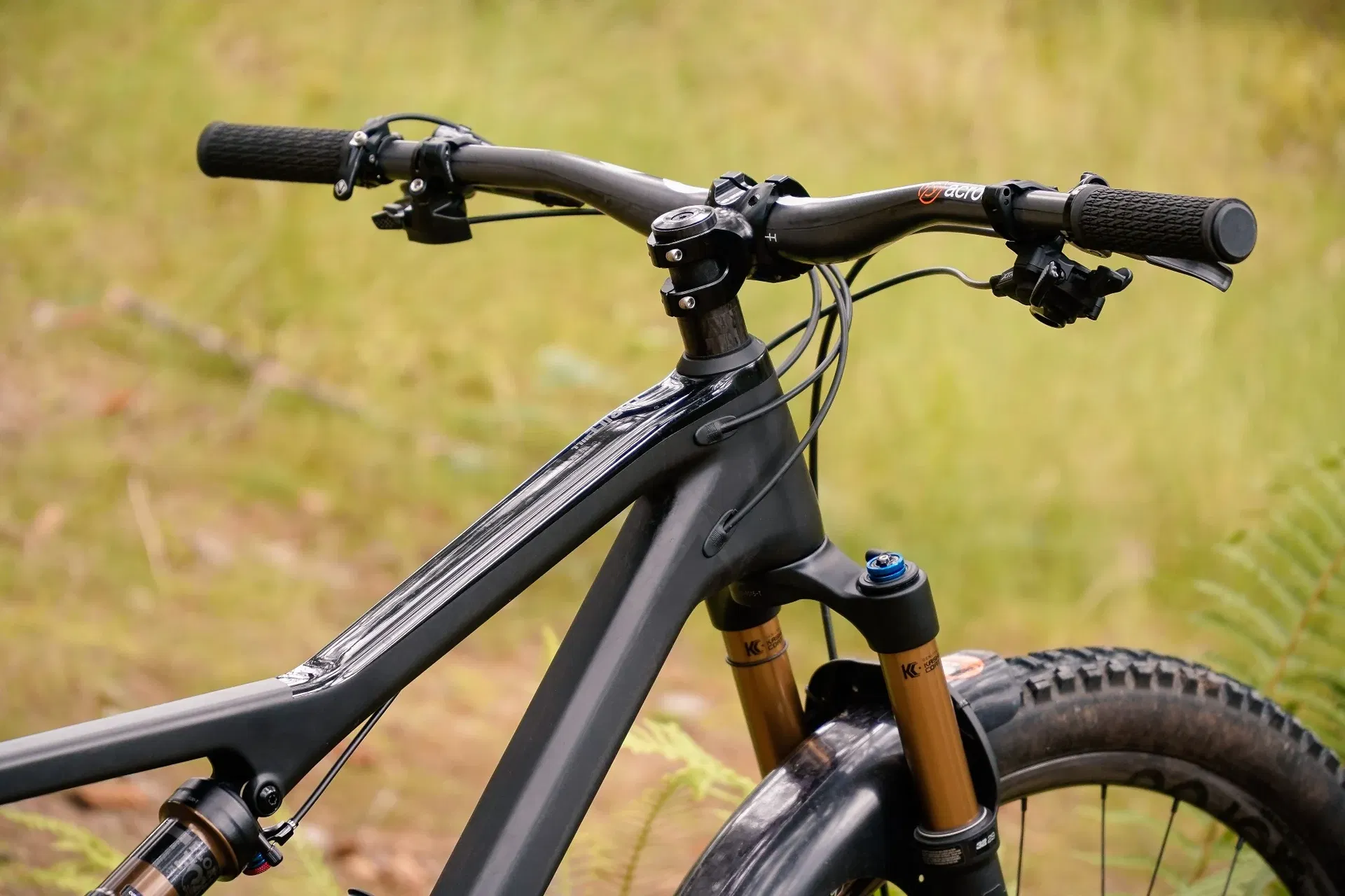 acros_AMBASSADOR_2020-07_James-Shirley_Rose-Thrill-Hill_02